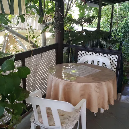 Cicek & Hotell Fethiye