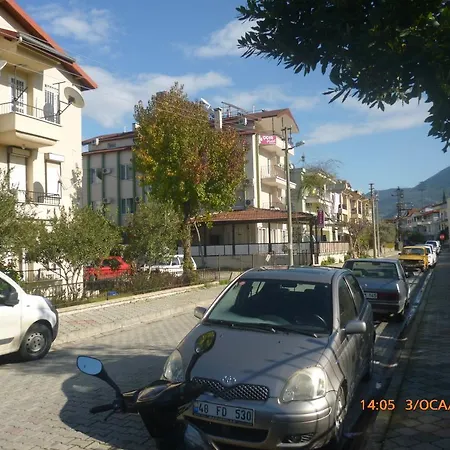 Cicek & Fethiye