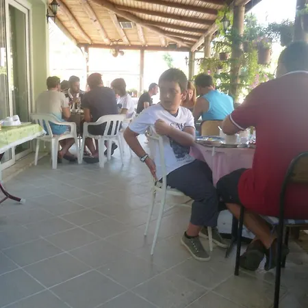 Cicek &