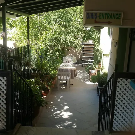Cicek & Fethiye