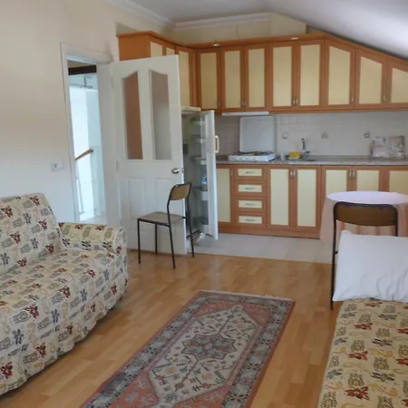 奇切克公寓酒店 2*